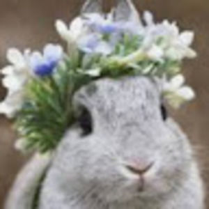 Meet your Posher, Avery